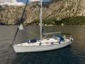 Bavaria 44