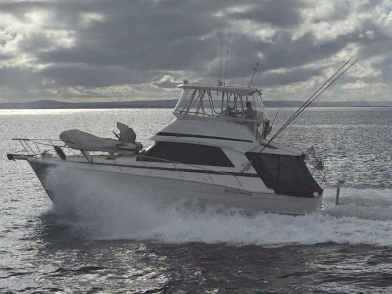 Riviera 39 Platinum