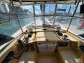 Adams Naut 40