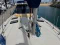 Adams Naut 40