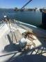 TS651 16.13m Trawler Pippy Dee