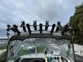 Quintrex 590 Ocean Spirit