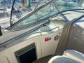 Sea Ray 300 Sundancer