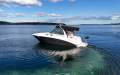Sea Ray 300 Sundancer