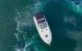 Sea Ray 300 Sundancer
