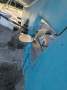Ted Brewer Pilot House Cutter