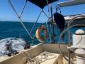 Arends 36 - launched 1995 Build Number 51