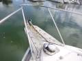 Markline 850 Flybridge