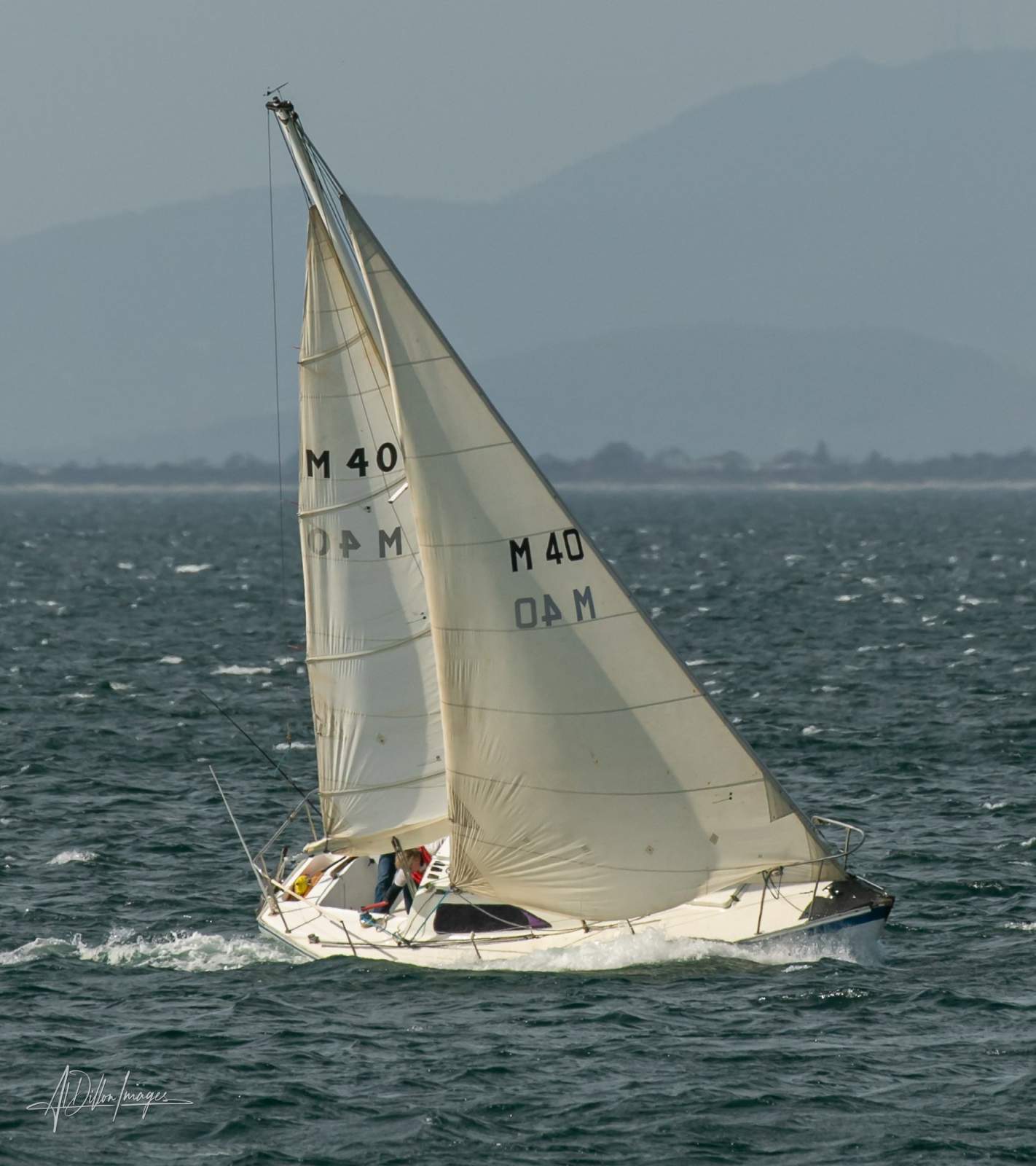 Holland 25