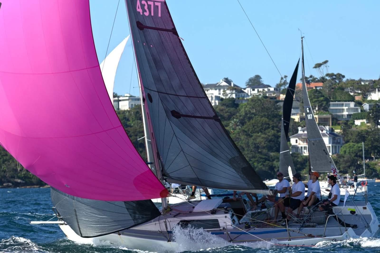 Andrew Cape 31