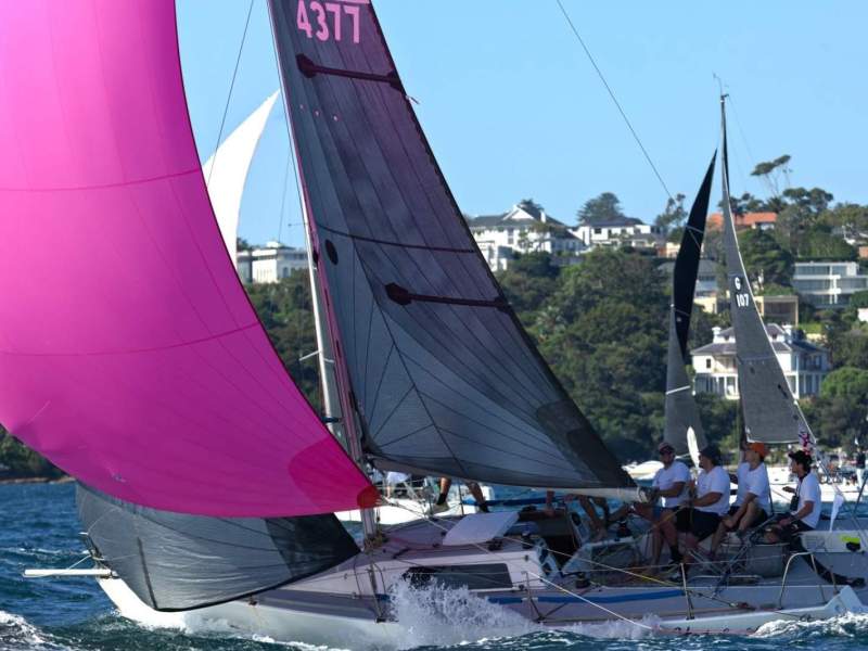 Andrew Cape 31