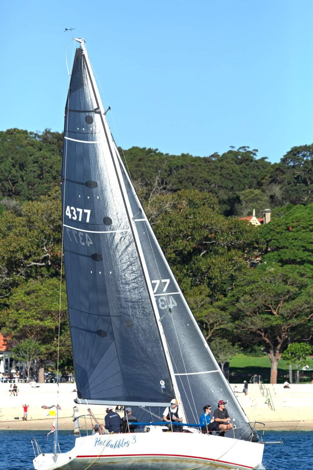 Andrew Cape 31