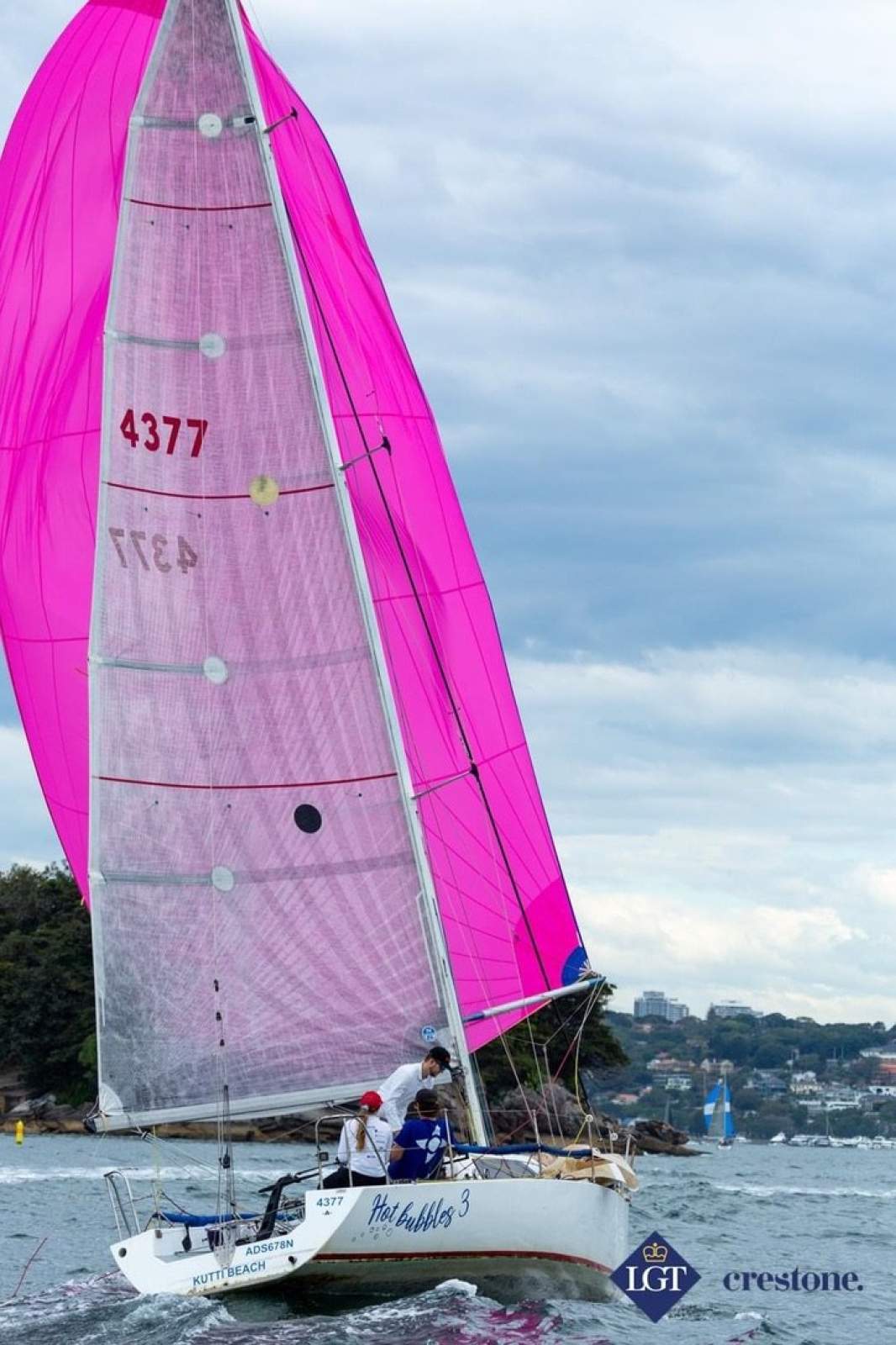 Andrew Cape 31
