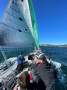 Andrew Cape 31