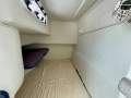 Mustang 2800 SportsCruiser Series III