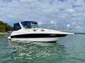 Mustang 2800 SportsCruiser Series III