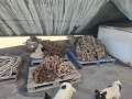 Star Boats 24m Aluminium Pearling Vessel (Project)