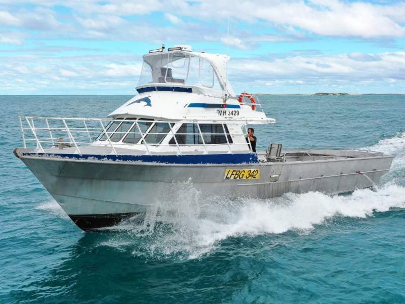 Austal 15.18
