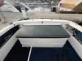 Caribbean 26 Flybridge Cruiser 2006 Model "KAIZEN"