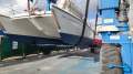 Prout Snowgoose 37 Elite