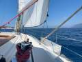 Bavaria 36 Holiday