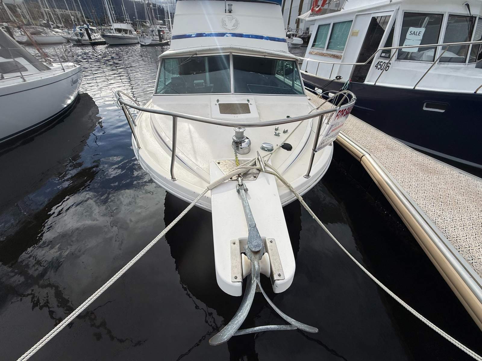 Caribbean 25 Flybridge Cruiser