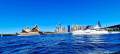 Leopard Motor Yachts 105 Arno Leopard 105