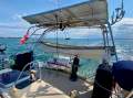 Island Packet 445 - The Ultimate World Cruiser