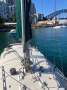 Compass 29
