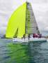 Custom 8m Sportsboat / Trailer Sailor Sailing mono