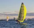 Custom 8m Sportsboat / Trailer Sailor Sailing mono