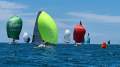 Custom 8m Sportsboat / Trailer Sailor Sailing mono