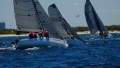 Custom 8m Sportsboat / Trailer Sailor Sailing mono
