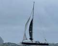 Nelson Marek 43