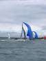 Custom 8m Sportsboat / Trailerable Sailing mono