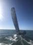 Custom 8m Sportsboat / Trailerable Sailing mono