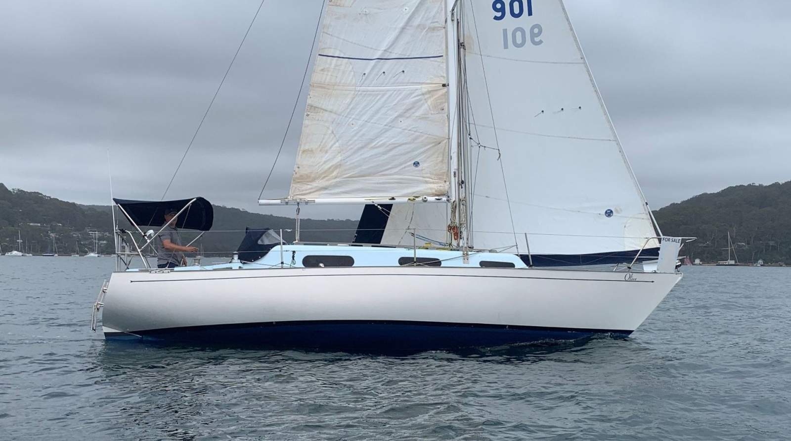 Currawong 30