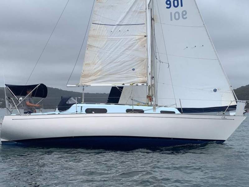 Currawong 30