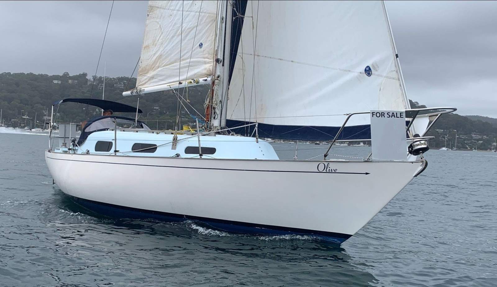 Currawong 30