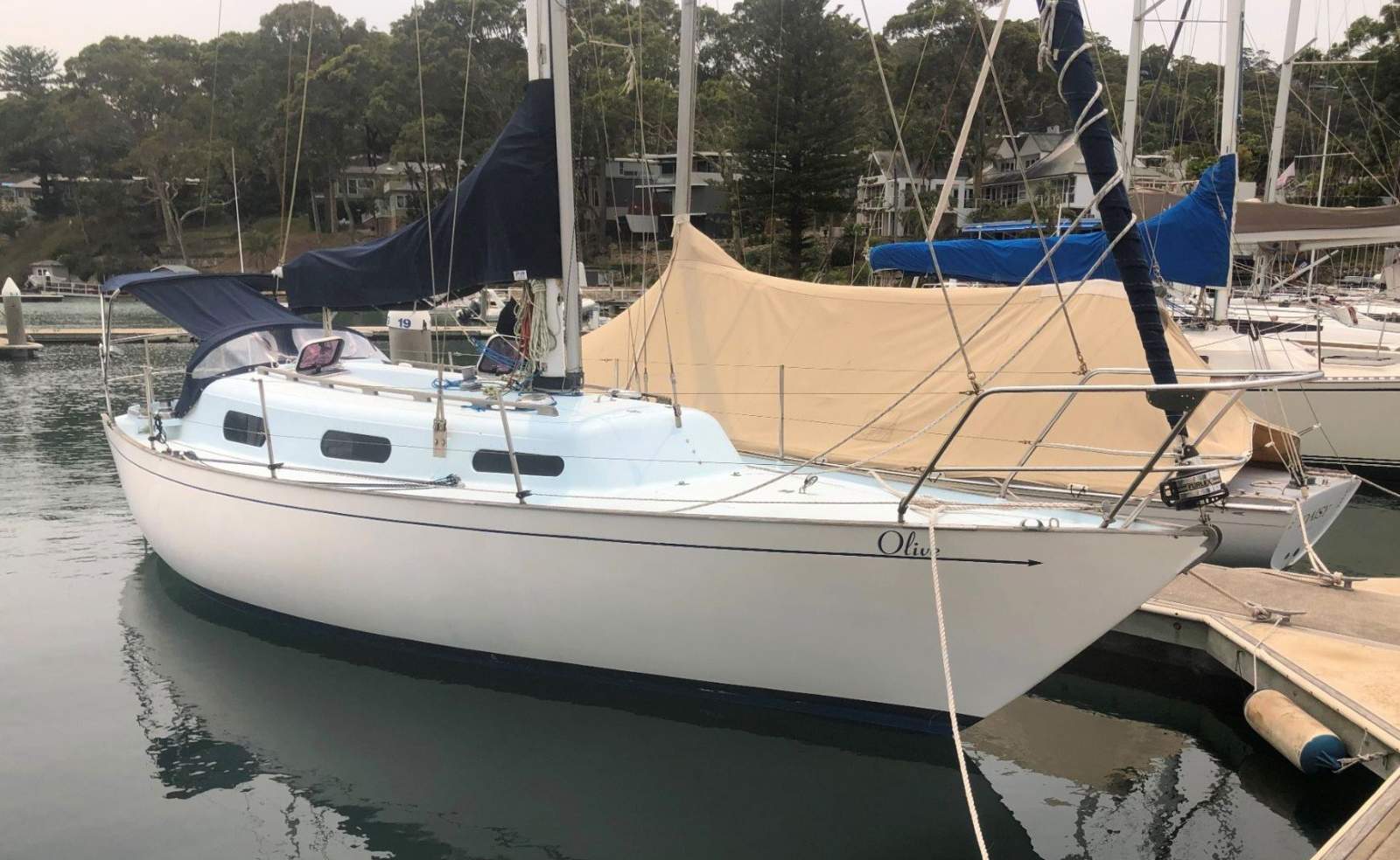 Currawong 30