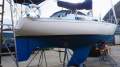 Currawong 30