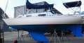 Currawong 30