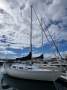 Currawong 30