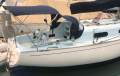 Currawong 30
