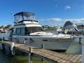 Mariner 34 Flybridge