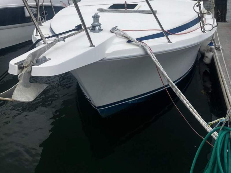 Bertram 31