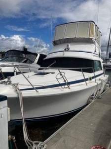 Bertram 31