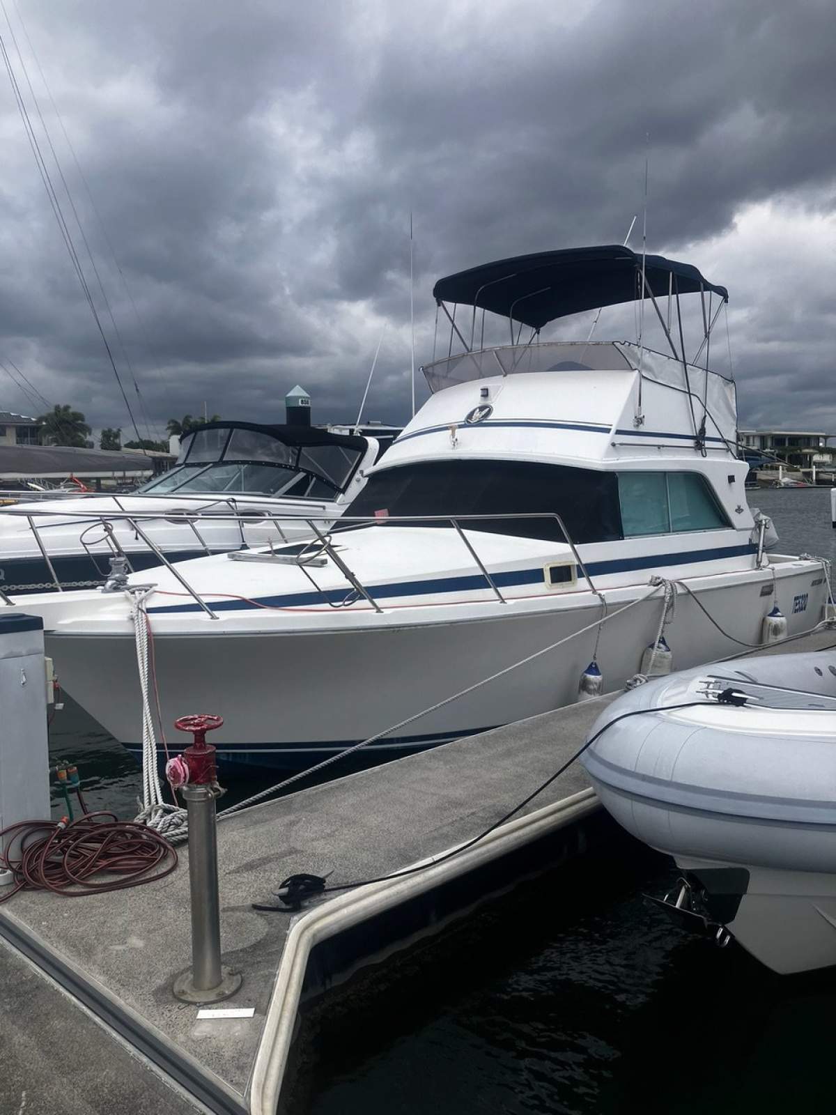 Bertram 31