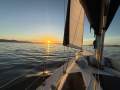Hunter 33.5