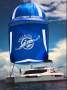 Leopard Catamarans 45